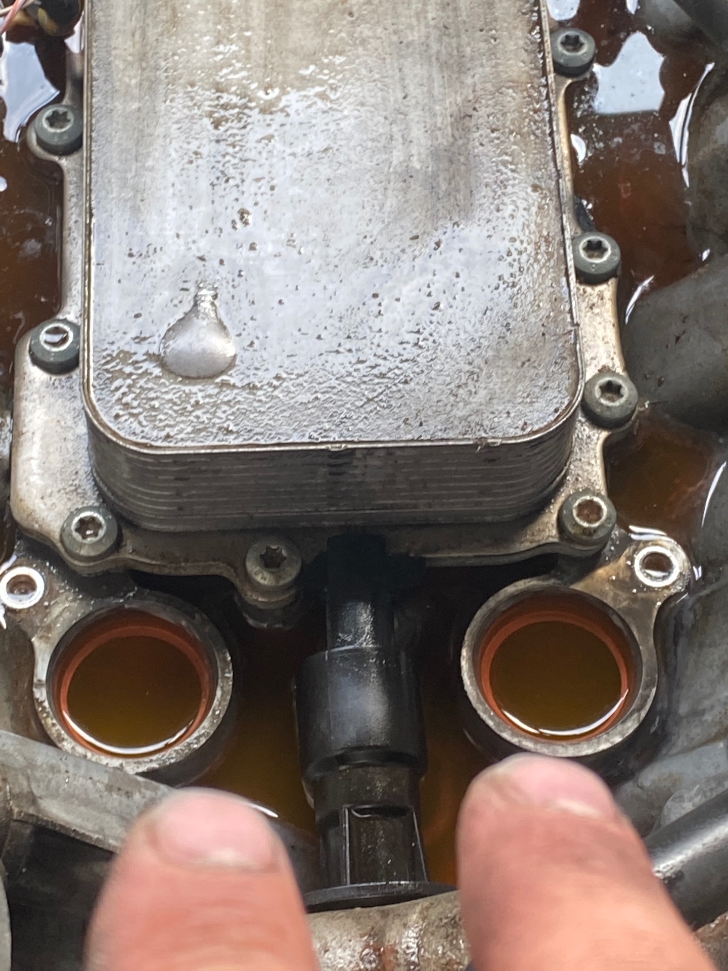 Oil cooler service on a Land Rover
